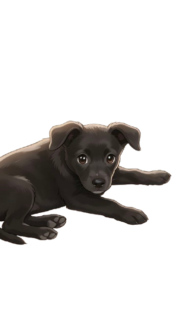 Cartoon illustration of the small black dog who inspired Outdoor Dog Safety